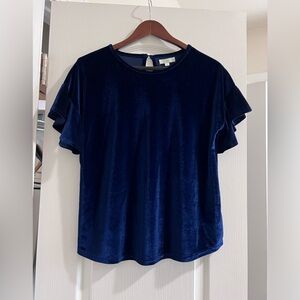 Jade Deep Blue Velvet Blouse